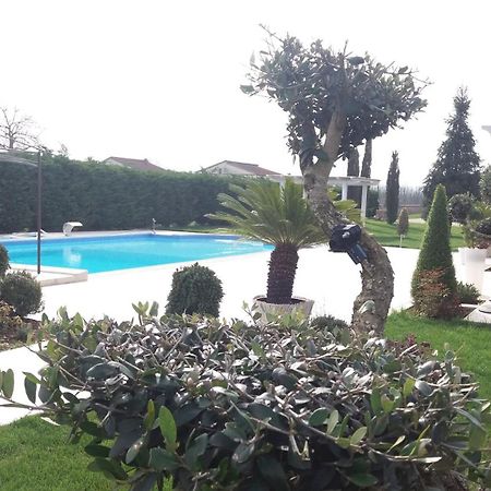Agriturismo Sant' Isidoro Villa Anagni Dış mekan fotoğraf